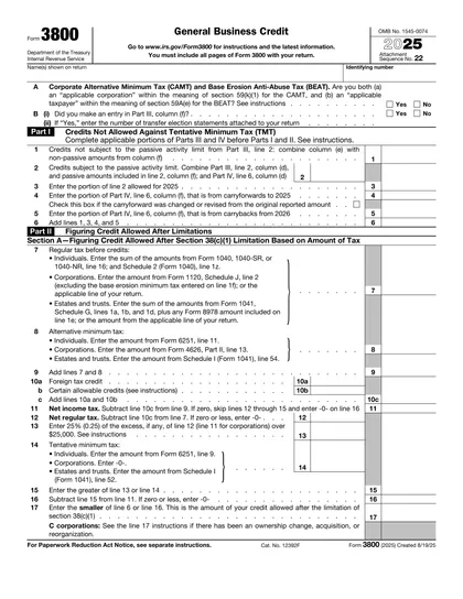 3800 form