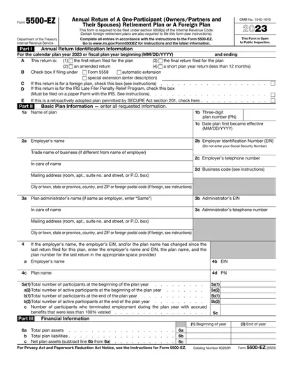 5500-ez form