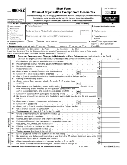 990-ez form