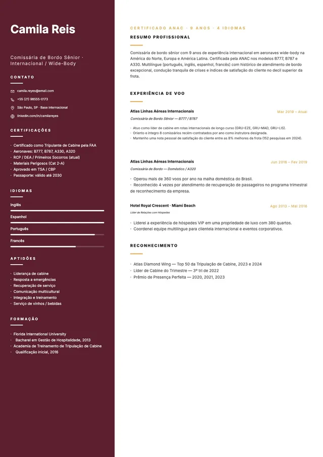 Modelo de currículo de comissário de bordo