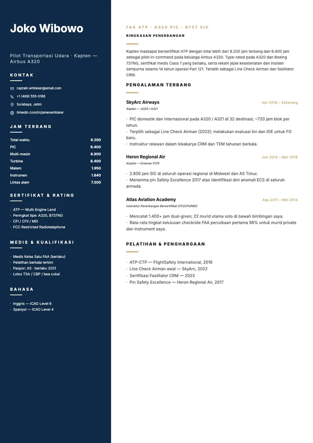 Templat CV Pilot