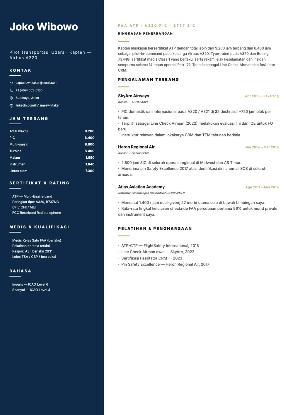 Templat CV Pilot