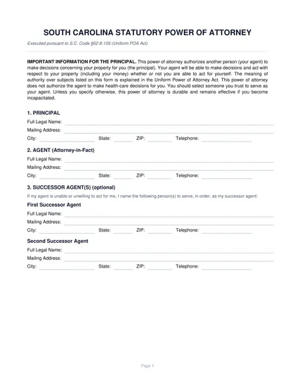 south-carolina-power-of-attorney form