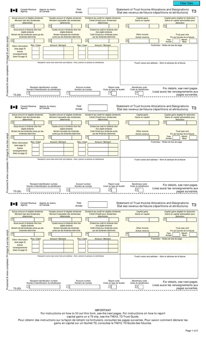 t3 form