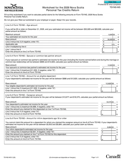 td1ns-ws form