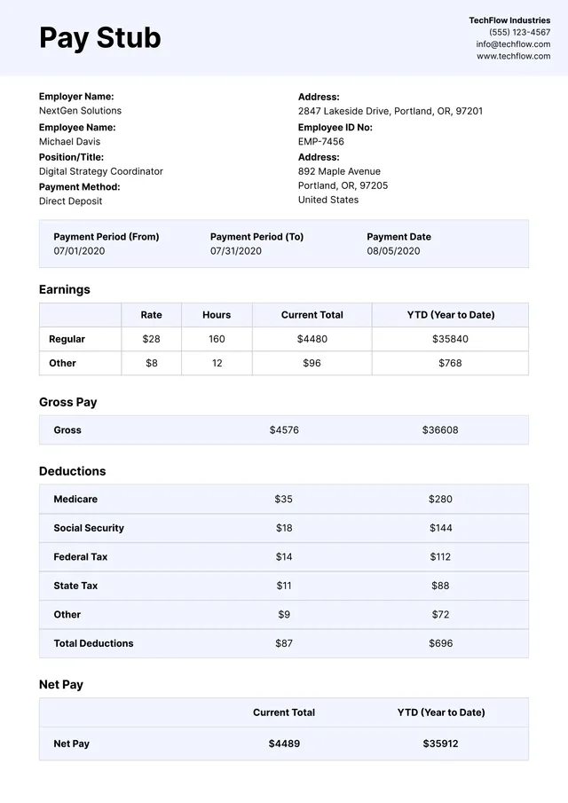 Paystub Template
