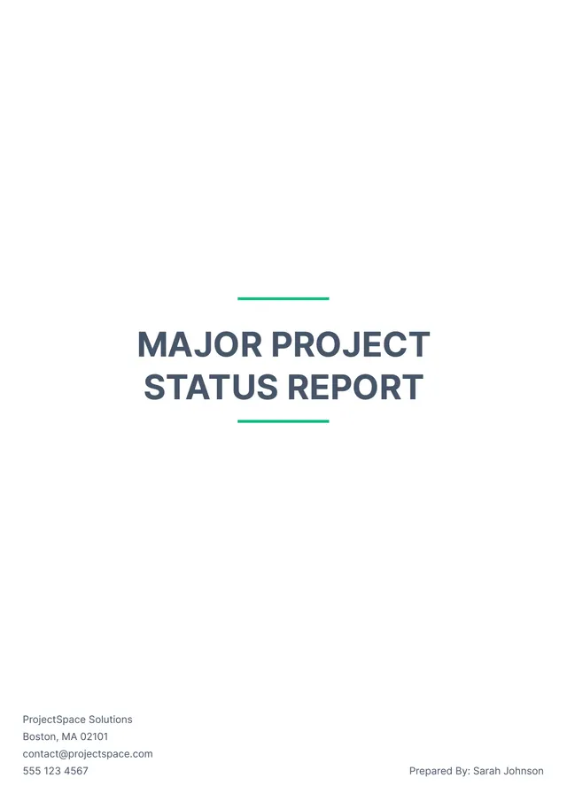 Professional Report Template