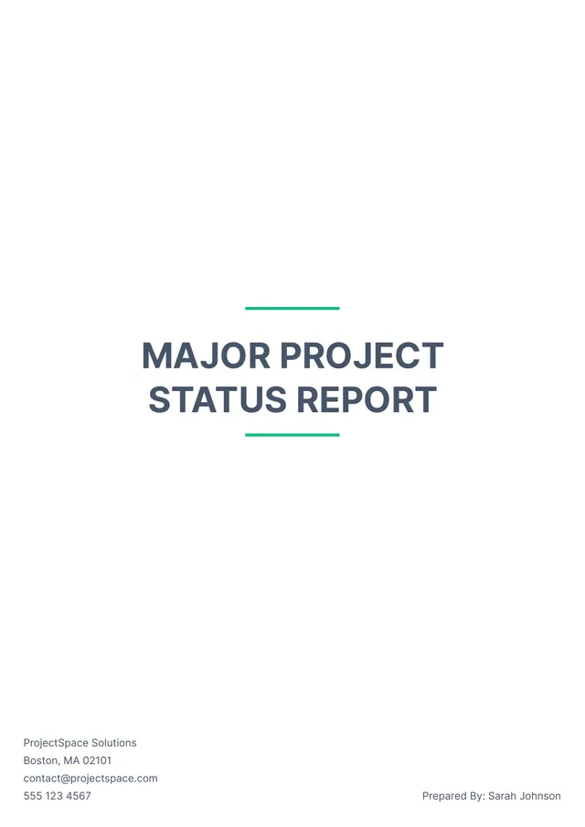professional report template