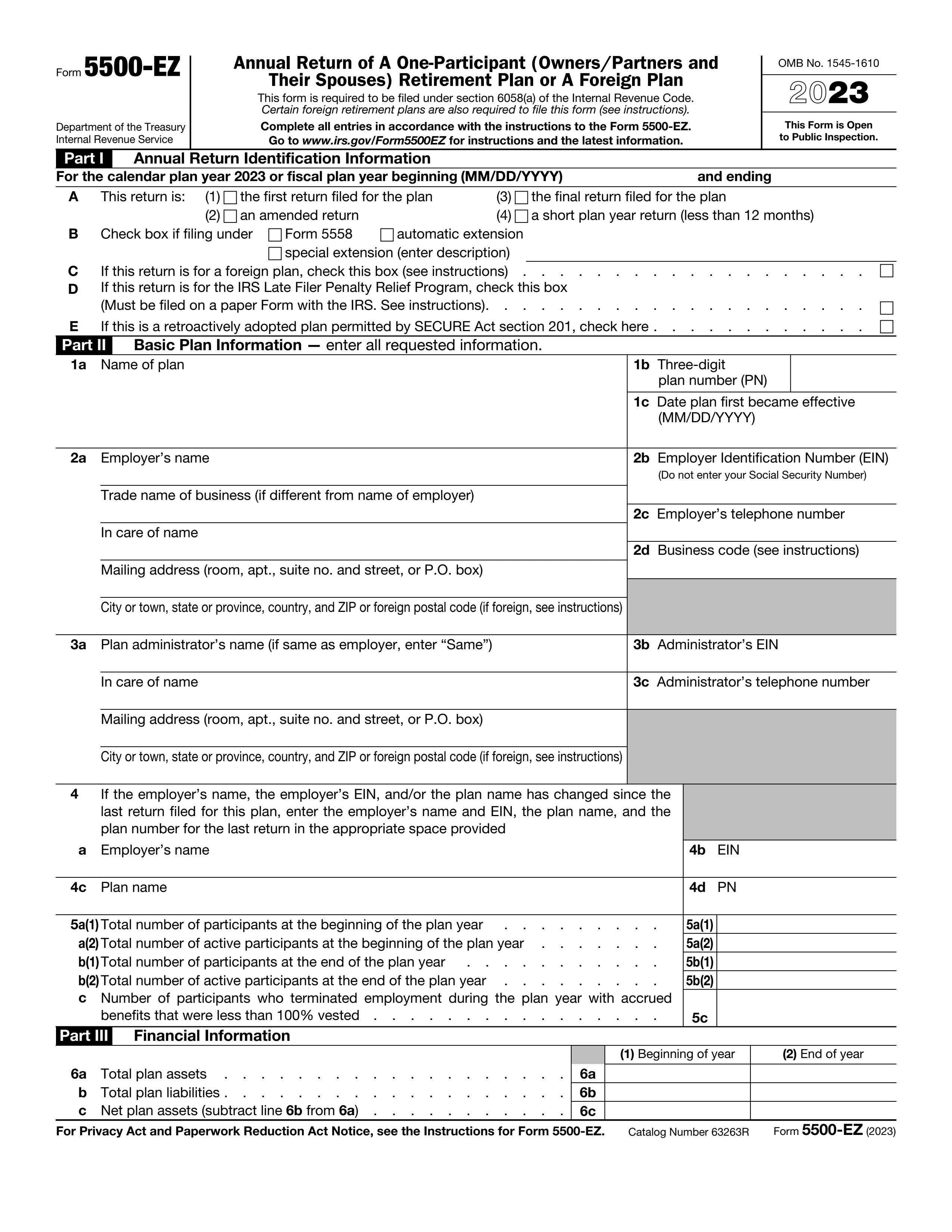 5500-ez form